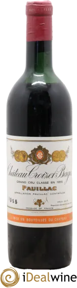vue du vin Château Croizet Bages