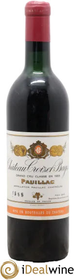 vue du vin Château Croizet Bages