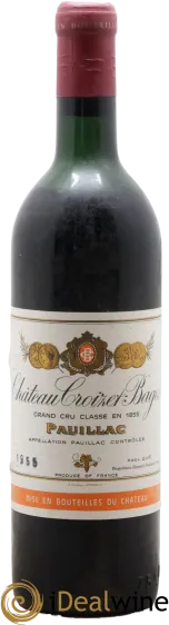 vue du vin Château Croizet Bages