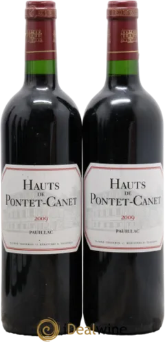 illustration du vin Les Hauts de Pontet Canet
