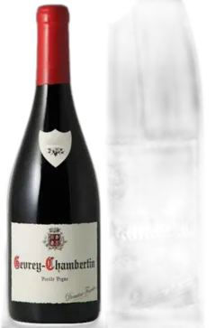 aperçu du vin Gevrey Chambertin VV