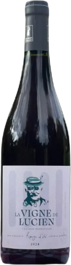 photo du vin Cinsault Sans Sulfites