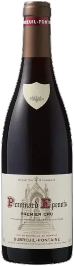 vue du vin Dubreuil Fontaine 1er Cru les Epenots