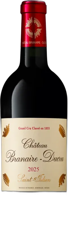 vue du vin Château Branaire Ducru 2010