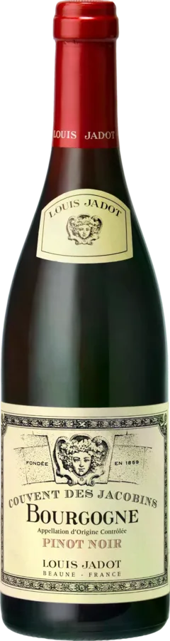 vue du vin Bourgogne Pinot Noir