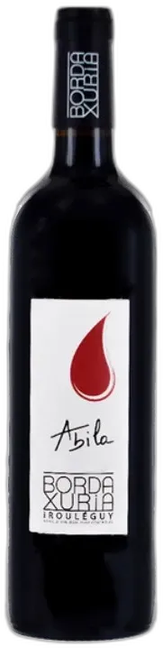 vue du vin Domaine Bordaxuria Irouléguy Rouge