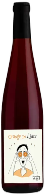 photo du vin in Alsace