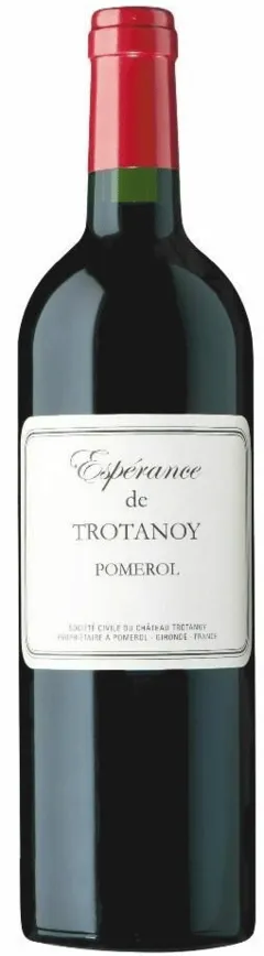 vue du vin Espérance de Trotanoy