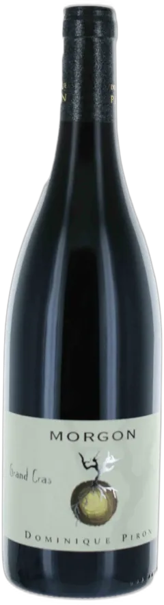 vue du vin Morgon Grand Cras Dominique Piron