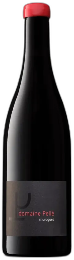 illustration du vin Morogues