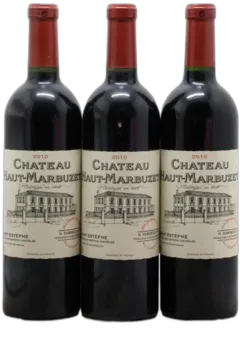 image du vin Château Haut Marbuzet