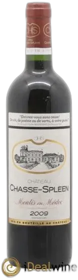 photo du vin Château Chasse Spleen