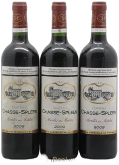 photo du vin Château Chasse Spleen