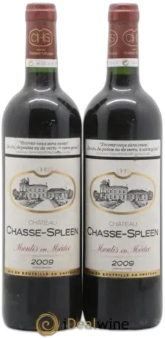 photo du vin Château Chasse Spleen