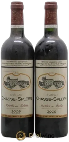 photo du vin Château Chasse Spleen
