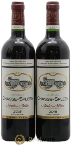 photo du vin Château Chasse Spleen