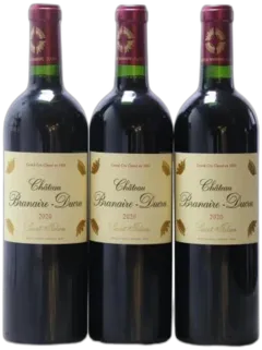 vue du vin Château Branaire Ducru 2010