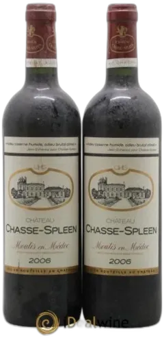 photo du vin Château Chasse Spleen