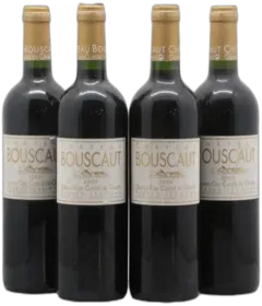 vue du vin Château Bouscaut