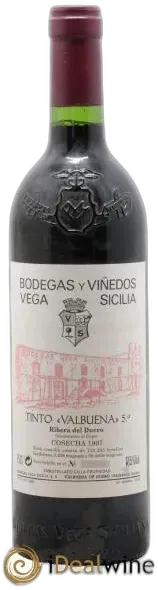 vue du vin Único Vega Sicilia