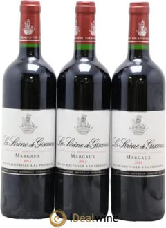 vue du vin la Sirène de Giscours - Second Vin du Château Giscours