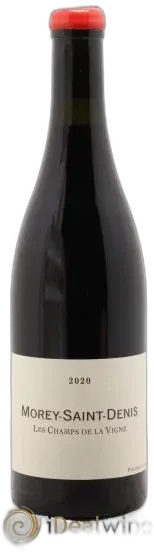 photo du vin Morey Saint Denis les Champs de la Vigne Qvevris Rouge