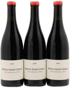 photo du vin Morey Saint Denis les Champs de la Vigne Qvevris Rouge