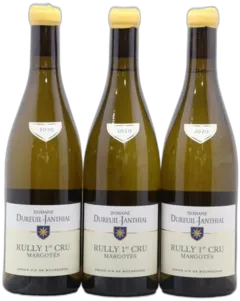 image du vin les Margotés
