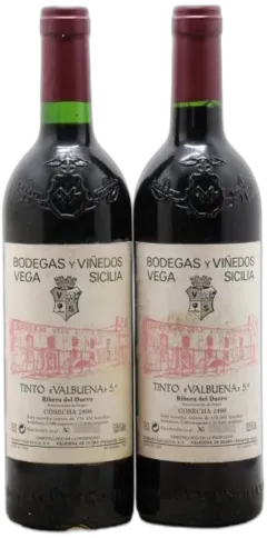 vue du vin Único Vega Sicilia