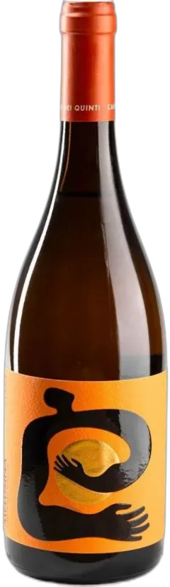 photo du vin Melusina Cantina Dei Quinti