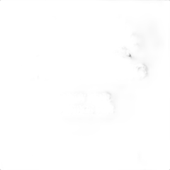 photo du vin Pinot Noir