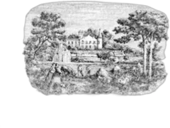 photo du vin Château Lafite Rothschild