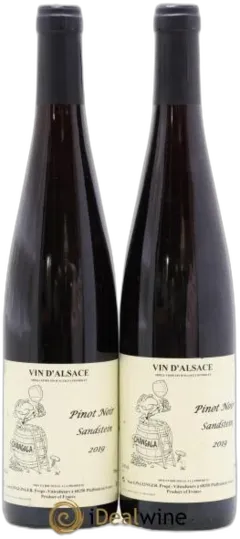 vue du vin Domaine Paul Ginglinger Alsace Pinot Noir