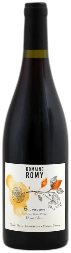 vue du vin Bourgogne Pinot Noir