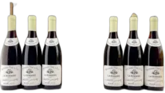 photo du vin Bouchard Pere et Fils Comte de Liger-Belair