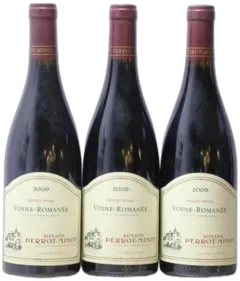 vue du vin Vosne Romanée Vieilles Vignes Domaine Perrot-Minot