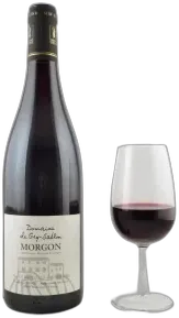 photo du vin Domaine de Gry-Sablon 2013