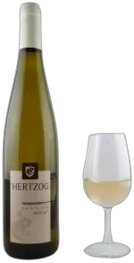 image du vin Muscat d’Alsace