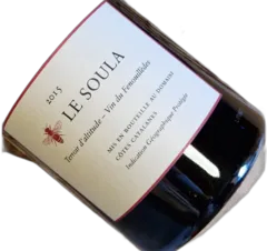 photo Igp des Côtes Catalanes Rouge 2015 Magnum
