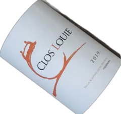 photo Castillon Côtes de Bordeaux Rouge 2019 Magnum