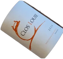 photo Castillon Côtes de Bordeaux Rouge 2020 Magnum