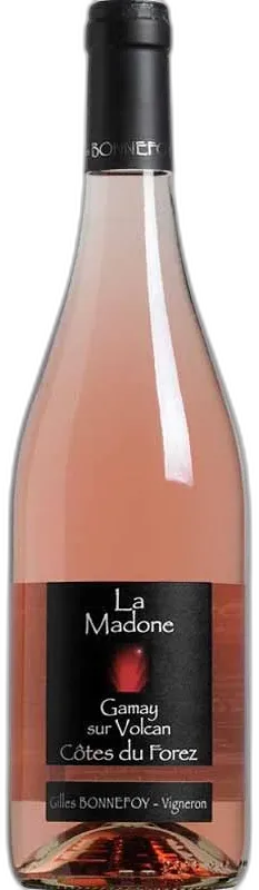 image du vin Gilles Bonnefoy la Madone Gamay Sur Volcan Côtes du Forez