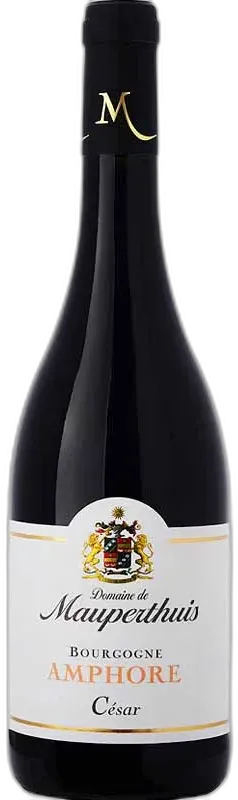 photos du vin Domaine de Mauperthuis Amphore César Bourgogne Rouge