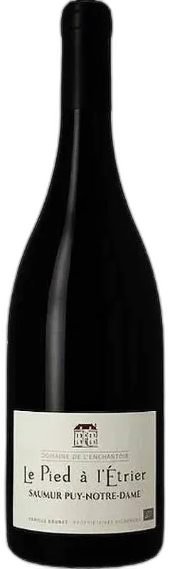 photo Domaine de l'Enchantoir le Pied à l'Étrier Saumur Puy-Notre-Dame 2020 Rouge