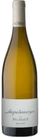 photo Ampeloméryx Blanc 2022 Château Pellehaut