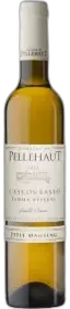photo l’Escoubasso 2019 Château Pellehaut