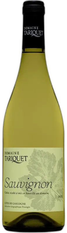 photo du vin Sauvignon 2023 Domaine Tariquet