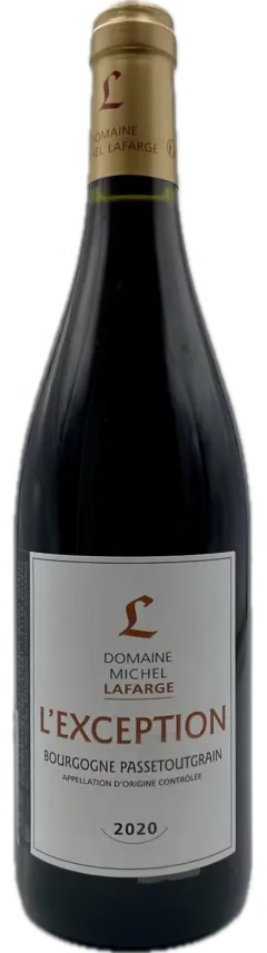 vue du vin Domaine Michel Lafarge l’Exception 2020 Vin Rouge, Bourgogne