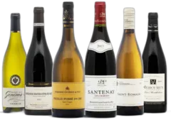 photo du vin Découverte Voyage en Bourgogne