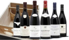 photo Grands Vins Rouges de Bourgogne
